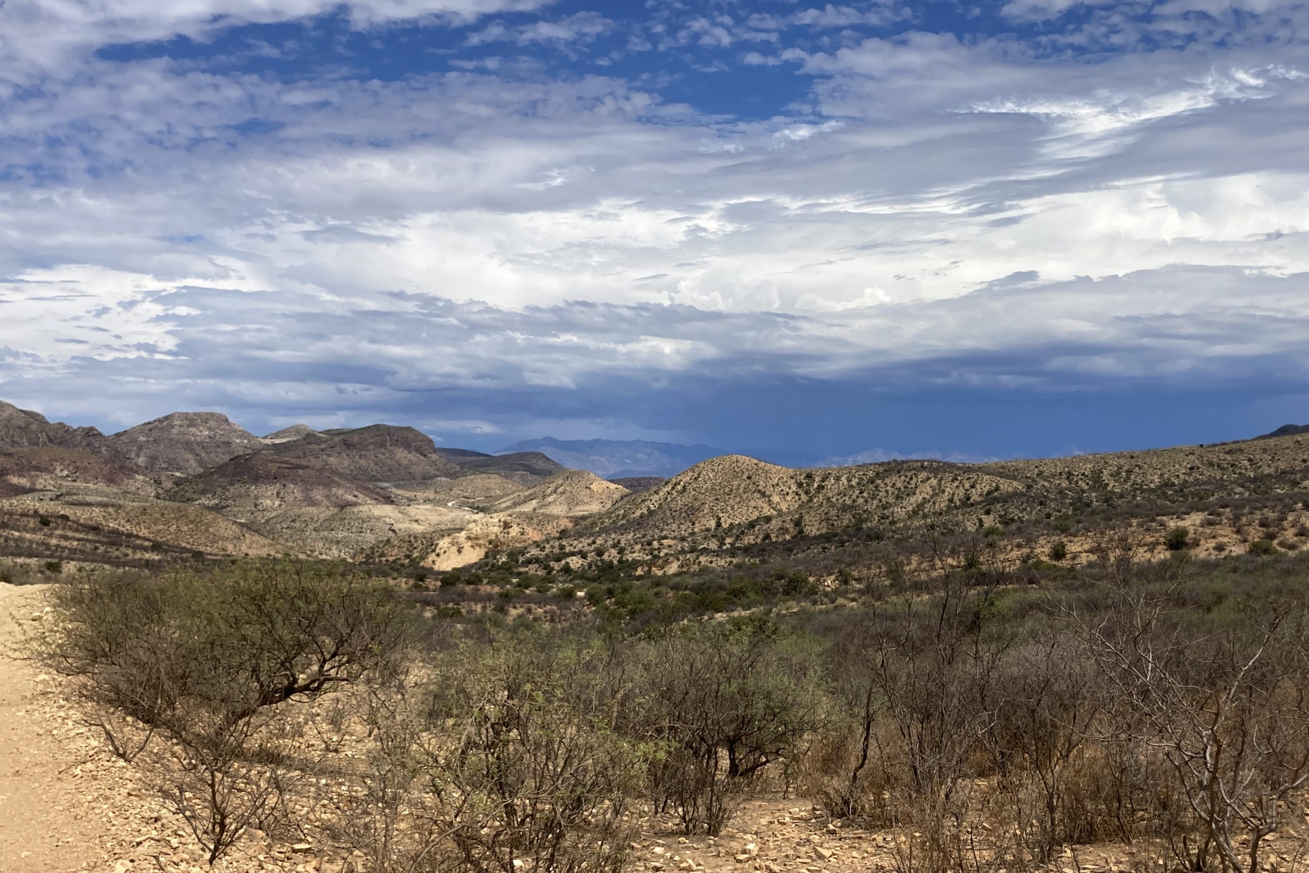 A photo of a landscape during the day. Blue sky with beautiful white clouds streaking across. The sky is the top half of the frame and the foothills of the Sierra Madre Occidentals fill the bottom half of the photo. The landscape looks dry, but there are hunter green scrubby plants and dotted greens of pine. Darker blue mountains are in the background.